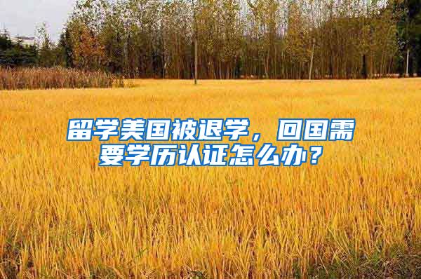 留学美国被退学,回国需要学历认证怎么办?