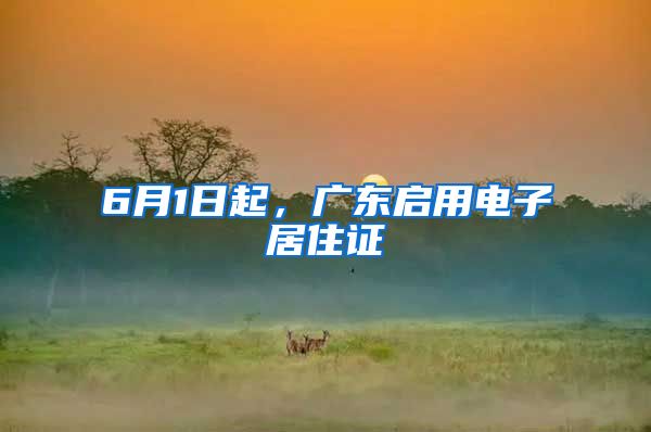 6月1日起,广东启用电子居住证