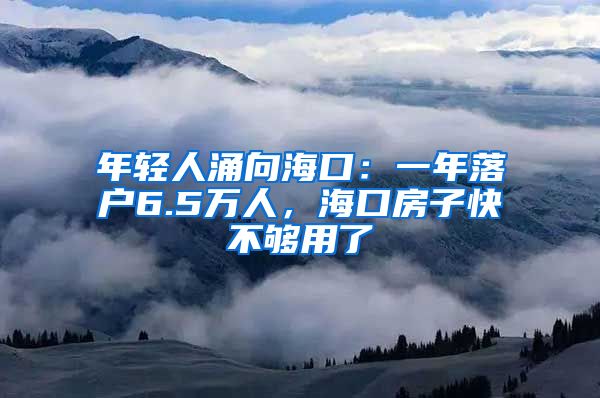 年轻人涌向海口：一年落户6.5万人，海口房子快不够用了