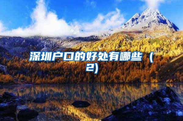 深圳户口的好处有哪些 (2)