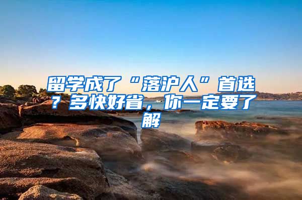留学成了“落沪人”首选？多快好省，你一定要了解