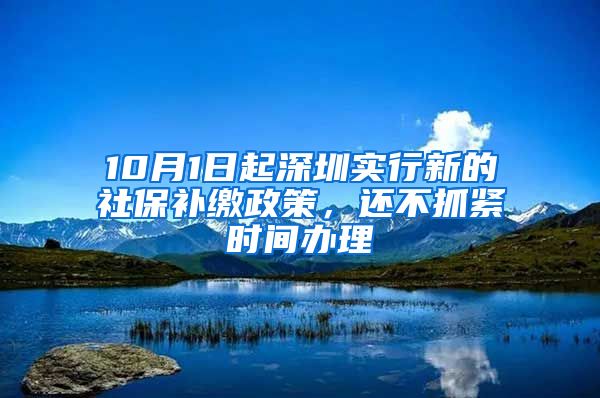 10月1日起深圳实行新的社保补缴政策,还不抓紧时间办理