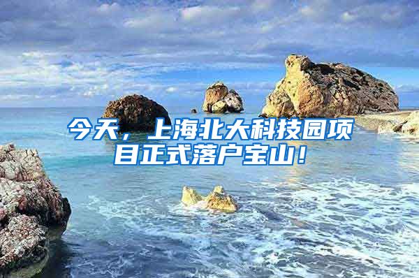 今天，上海北大科技园项目正式落户宝山！