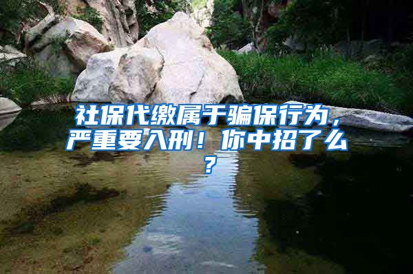 社保代缴属于骗保行为，严重要入刑！你中招了么？