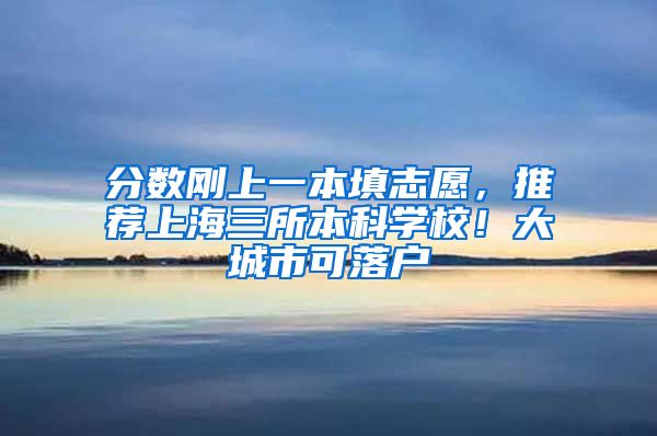 分数刚上一本填志愿，推荐上海三所本科学校！大城市可落户