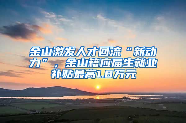 金山激发人才回流“新动力”,金山籍应届生就业补贴最高1.8万元