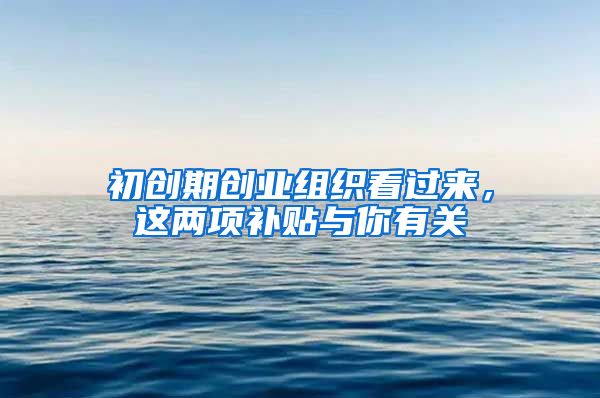初创期创业组织看过来,这两项补贴与你有关