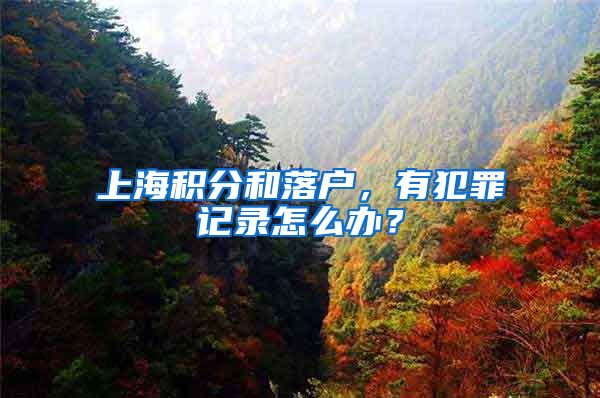 上海积分和落户，有犯罪记录怎么办？