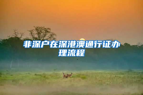 非深户在深港澳通行证办理流程