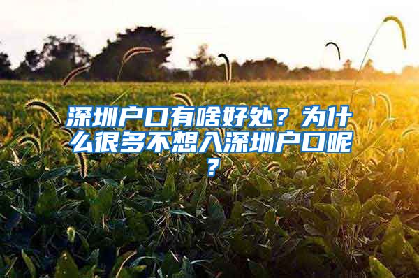 深圳户口有啥好处?为什么很多不想入深圳户口呢?