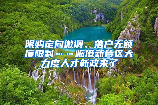 限购定向微调、落户无额度限制……临港新片区大力度人才新政来了