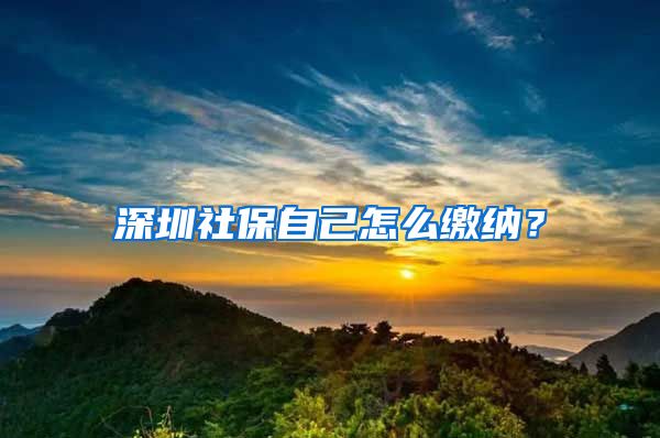 深圳社保自己怎么缴纳？