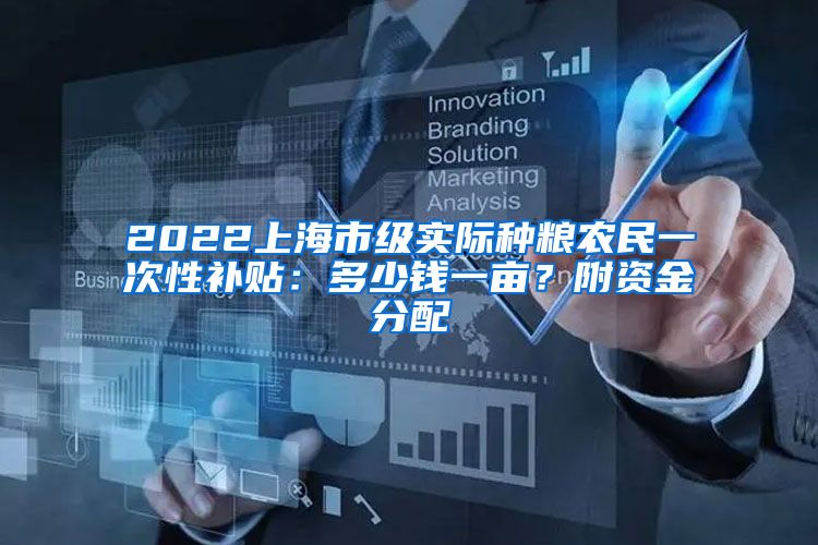 2022上海市级实际种粮农民一次性补贴：多少钱一亩？附资金分配