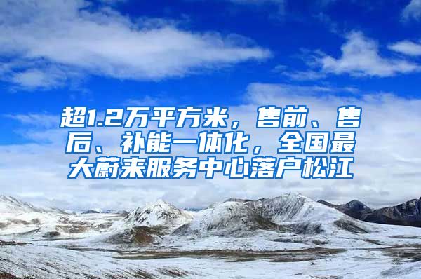 超1.2万平方米，售前、售后、补能一体化，全国最大蔚来服务中心落户松江
