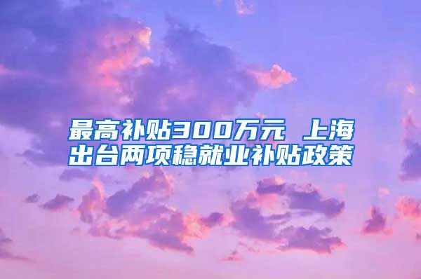 最高补贴300万元 上海出台两项稳就业补贴政策