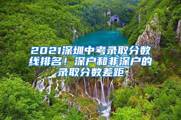 2021深圳中考录取分数线排名!深户和非深户的录取分数差距