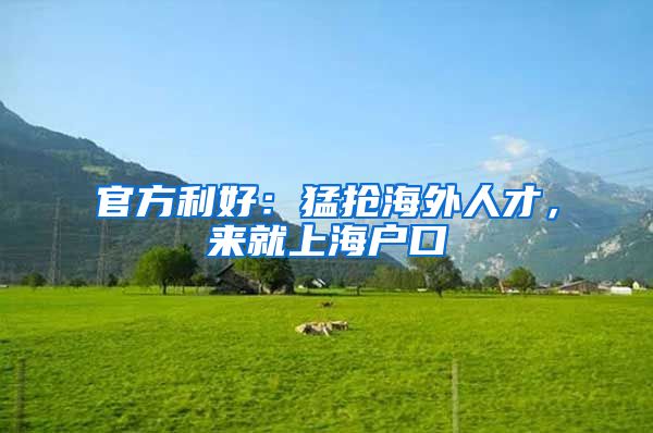 官方利好:猛抢海外人才,来就上海户口