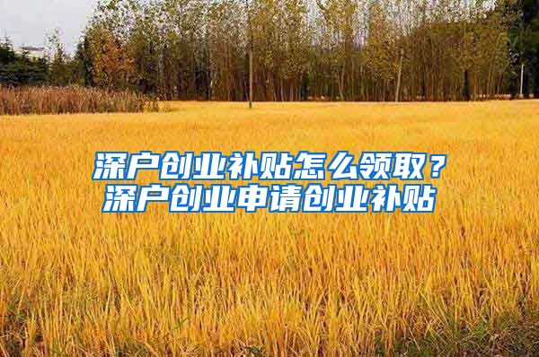 深户创业补贴怎么领取?深户创业申请创业补贴