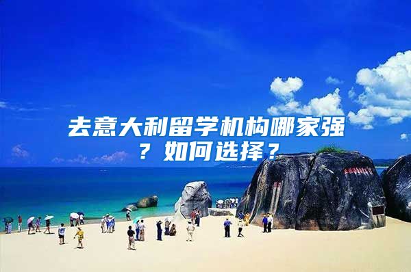 去意大利留学机构哪家强？如何选择？