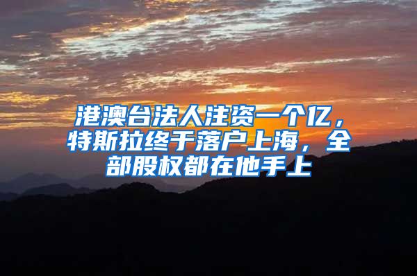 港澳台法人注资一个亿,特斯拉终于落户上海,全部股权都在他手上