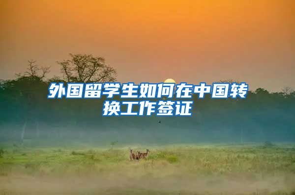 外国留学生如何在中国转换工作签证