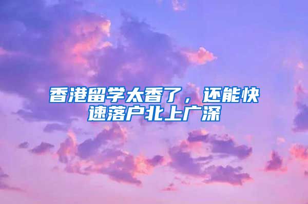 香港留学太香了，还能快速落户北上广深