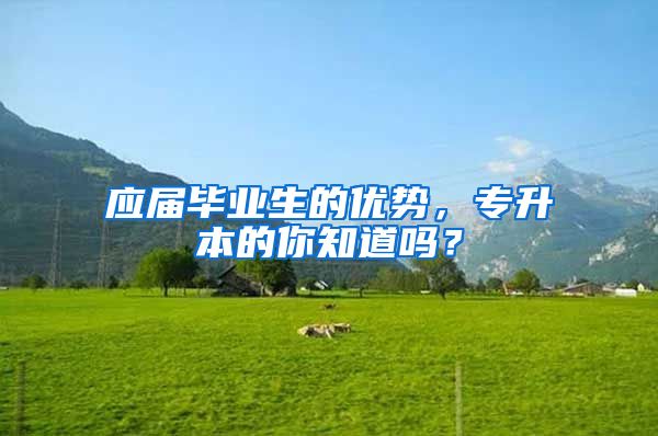 应届毕业生的优势,专升本的你知道吗?