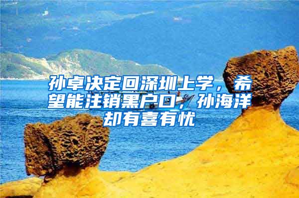 孙卓决定回深圳上学，希望能注销黑户口，孙海洋却有喜有忧