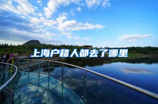 上海户籍人都去了哪里