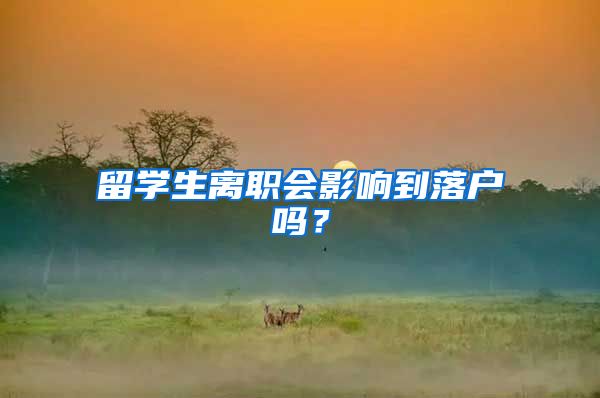 留学生离职会影响到落户吗?