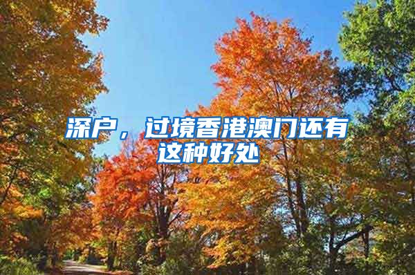 深户,过境香港澳门还有这种好处