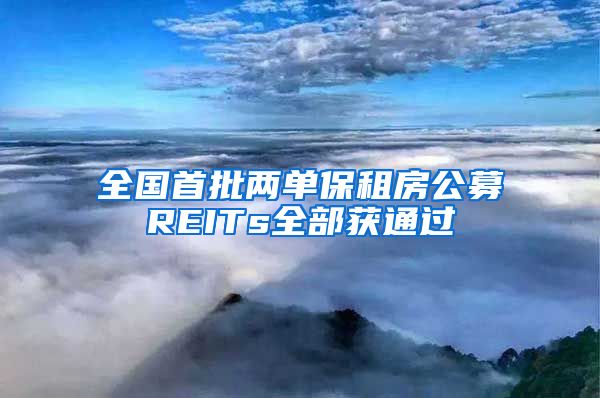 全国首批两单保租房公募REITs全部获通过