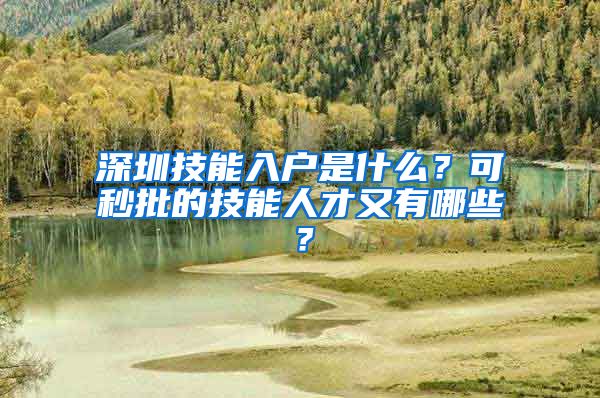 深圳技能入户是什么？可秒批的技能人才又有哪些？