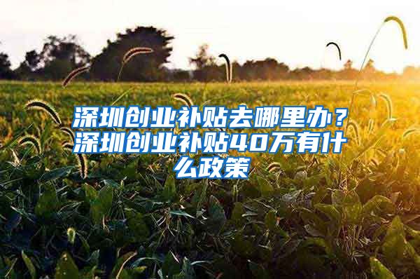 深圳创业补贴去哪里办?深圳创业补贴40万有什么政策