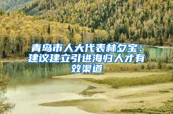 青岛市人大代表林夕宝:建议建立引进海归人才有效渠道