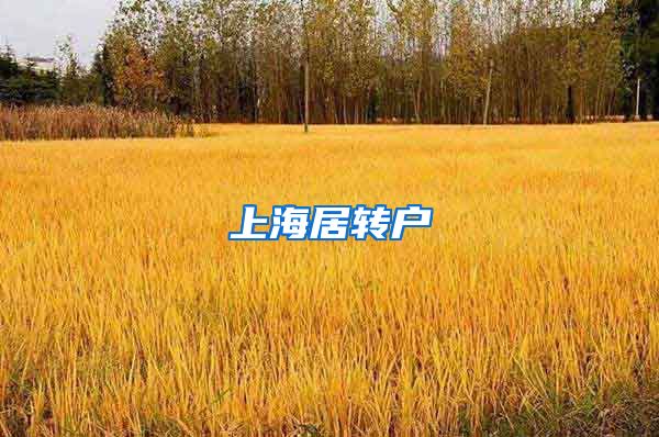 上海居转户