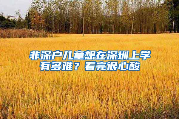 非深户儿童想在深圳上学有多难？看完很心酸