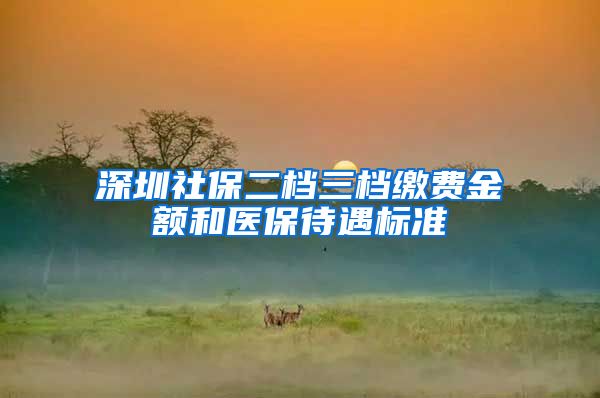 深圳社保二档三档缴费金额和医保待遇标准