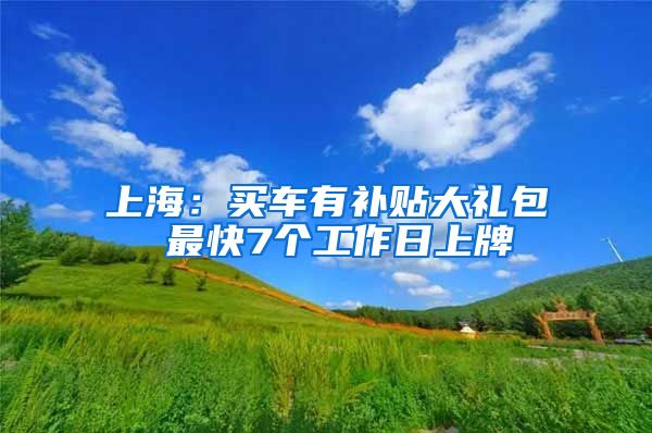 上海:买车有补贴大礼包 最快7个工作日上牌