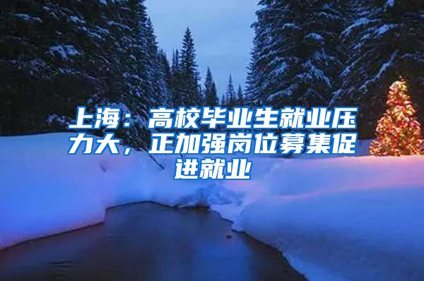 上海：高校毕业生就业压力大，正加强岗位募集促进就业