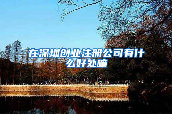 在深圳创业注册公司有什么好处嘛
