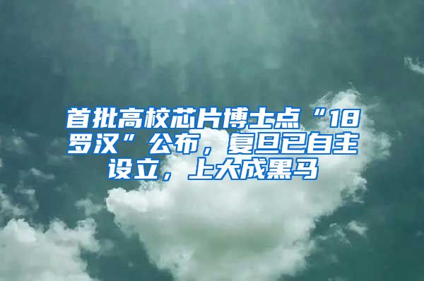 首批高校芯片博士点“18罗汉”公布，复旦已自主设立，上大成黑马