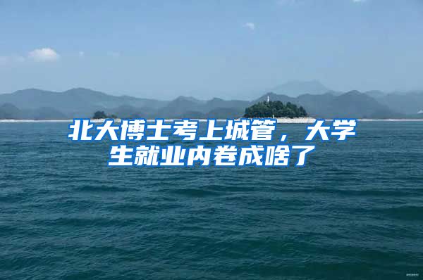 北大博士考上城管，大学生就业内卷成啥了