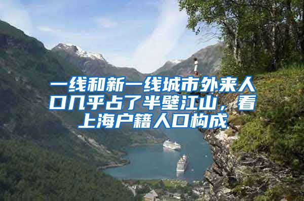 一线和新一线城市外来人口几乎占了半壁江山,看上海户籍人口构成