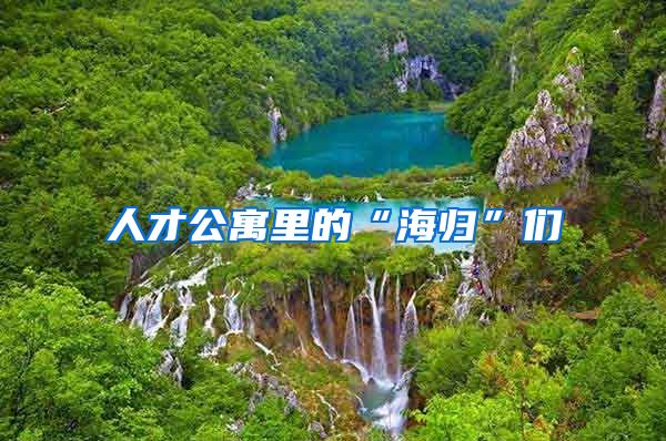 人才公寓里的“海归”们