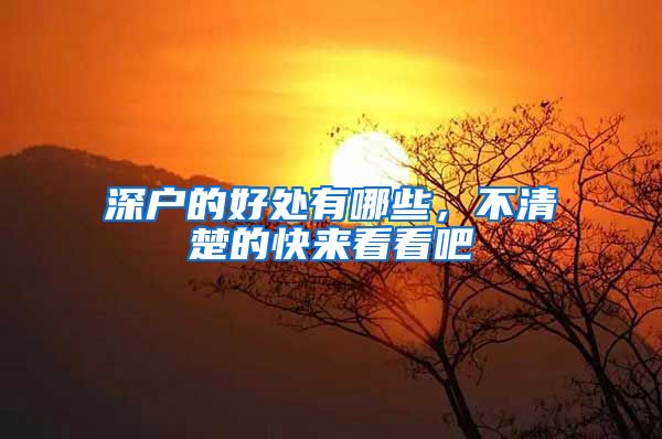 深户的好处有哪些,不清楚的快来看看吧