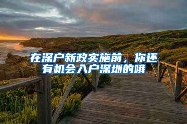 在深户新政实施前,你还有机会入户深圳的哦