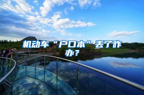 机动车“户口本”丢了咋办?