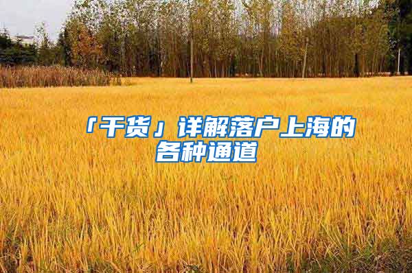 「干货」详解落户上海的各种通道