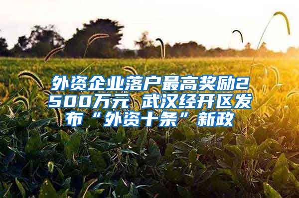 外资企业落户最高奖励2500万元 武汉经开区发布“外资十条”新政